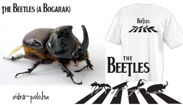 The Beetles (A bogarak)